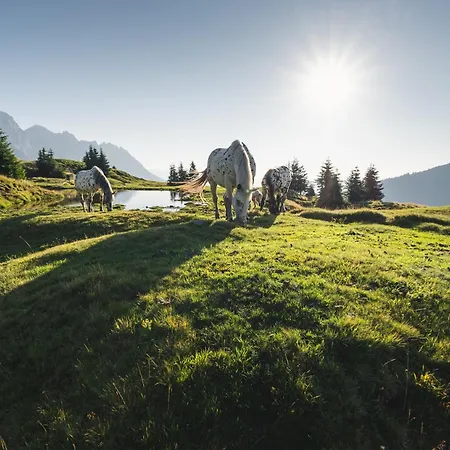 Sonnleiten Im Botenwirt Hinterthal