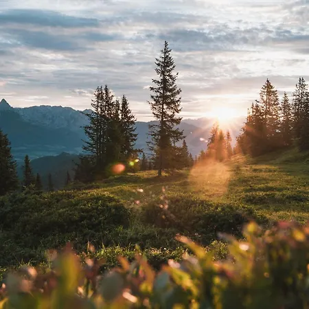 Sonnleiten Im Botenwirt Apartamento